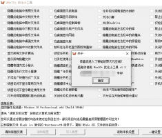 windows10+ 系统优化小工具 V1.3